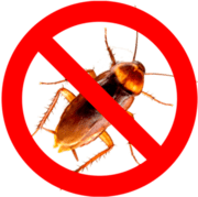 Уничтожение тараканов